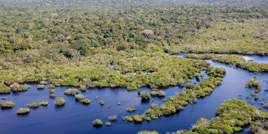 projeto-documenta-os-ritmos-musicais-da-amazonia