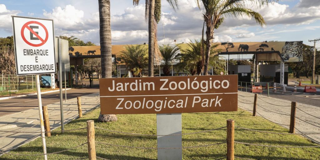zoologico-de-brasilia-e-fechado-apos-suspeita-de-gripe-aviaria