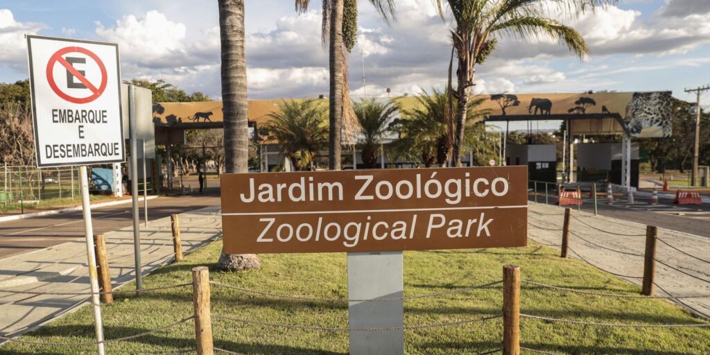 zoologico-de-brasilia-reabre-ao-publico-apos-casos-de-gripe-aviaria