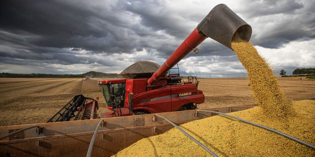 producao-de-graos-deve-crescer-14%-e-chegar-a-340-milhoes-de-toneladas