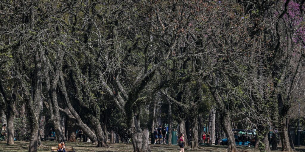 cidade-de-sao-paulo-tem-agosto-mais-seco-desde-2020