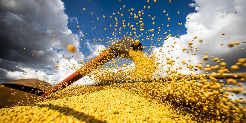 valor-da-producao-agricola-brasileira-recua-3,9%-em-2024,-mostra-ibge