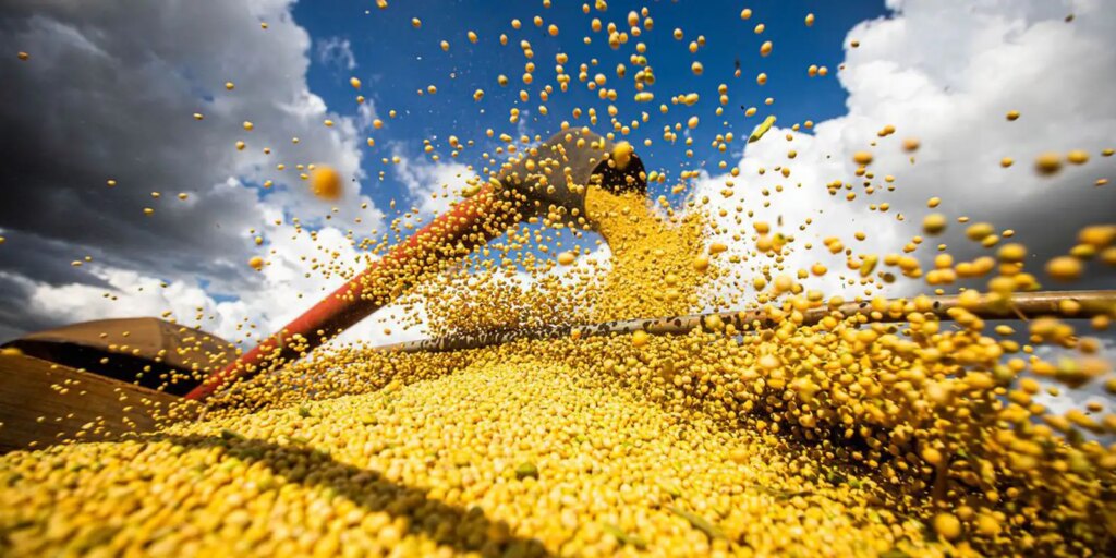 brasil-atinge-novo-recorde-com-350-milhoes-de-toneladas-de-graos