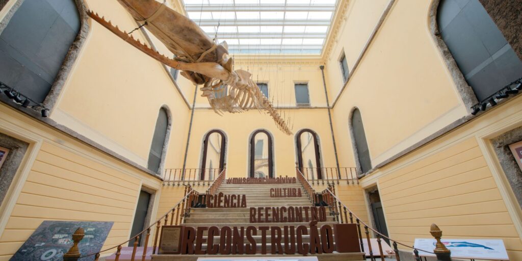 catalogo-inedito-do-museu-nacional-reune-fotografias-historicas