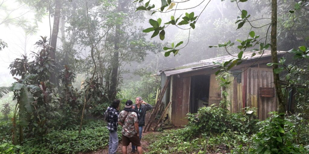 na-amazonia,-quilombos-preservam-92%-de-sua-vegetacao-nativa