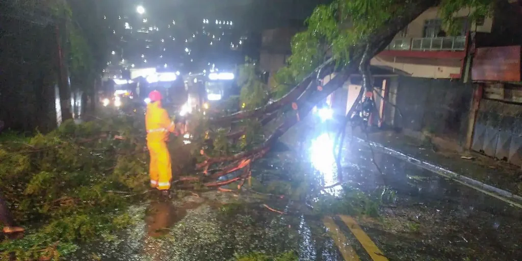 ciclone-deixa-1,2-milhao-clientes-sem-energia-em-sao-paulo