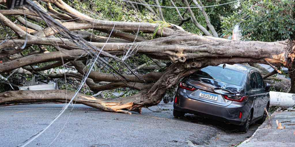 1,5-milhao-de-imoveis-estao-sem-energia-em-sp-apos-passagem-de-ciclone