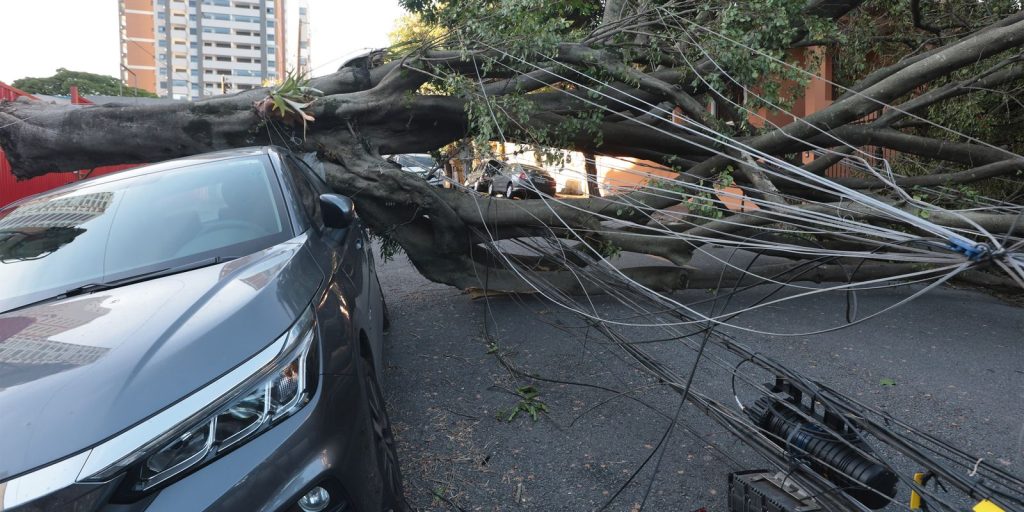 cinco-dias-apos-ciclone,-30-mil-clientes-estao-sem-energia-em-sp