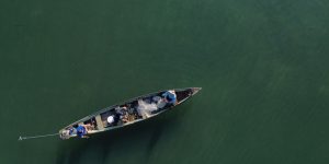 pescadores-profissionais-tem-ate-dia-31-para-comprovar-atividade