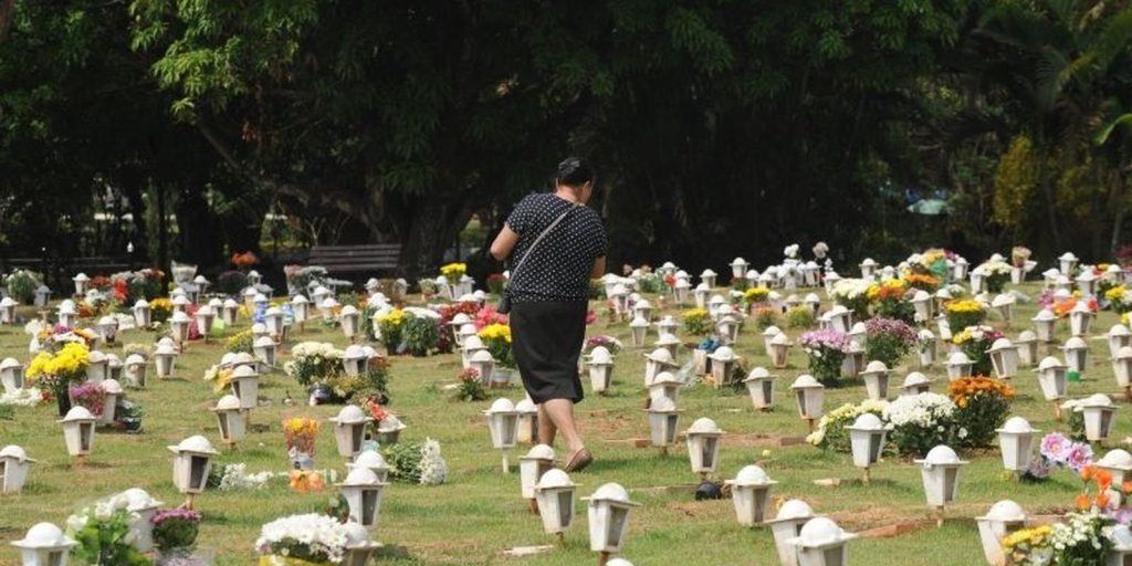 caes-e-gatos-podem-ser-sepultados-em-jazigos-familiares-em-sao-paulo