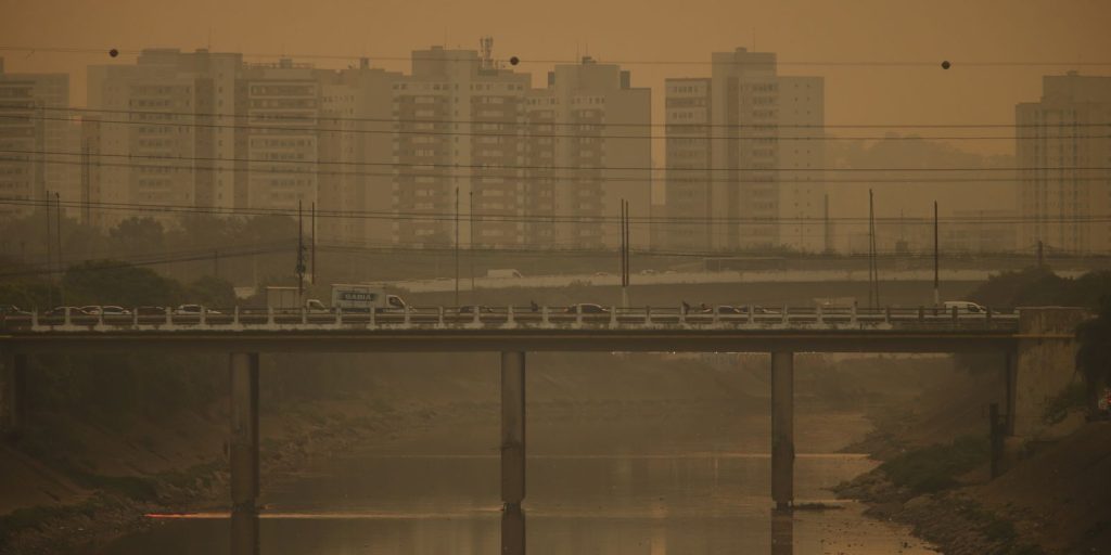 cmn-muda-regra-do-eco-invest-para-impulsionar-projetos-verdes