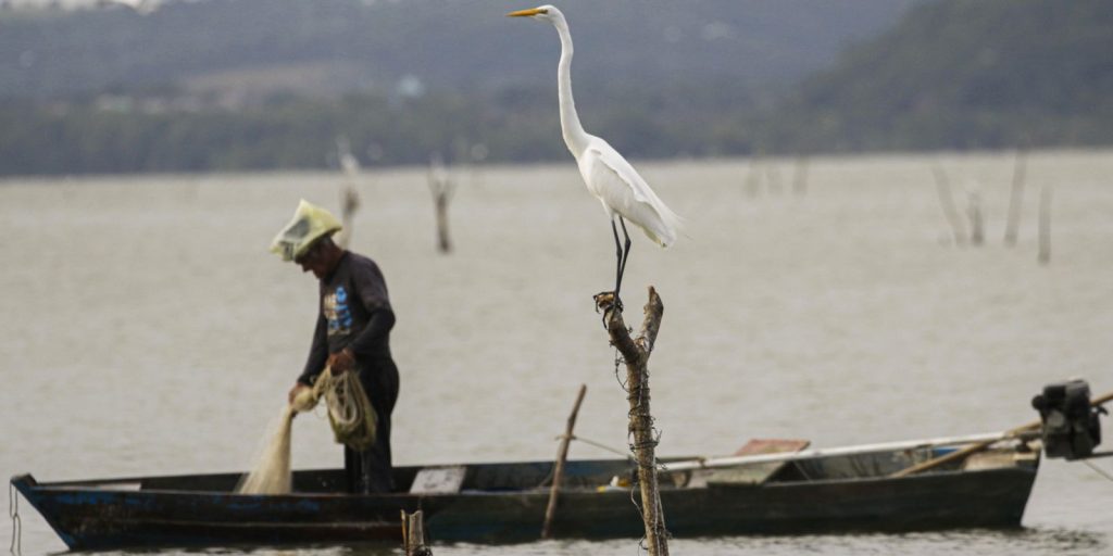 mudancas-aprovadas-para-o-seguro-defeso-previnem-fraudes,-diz-relator