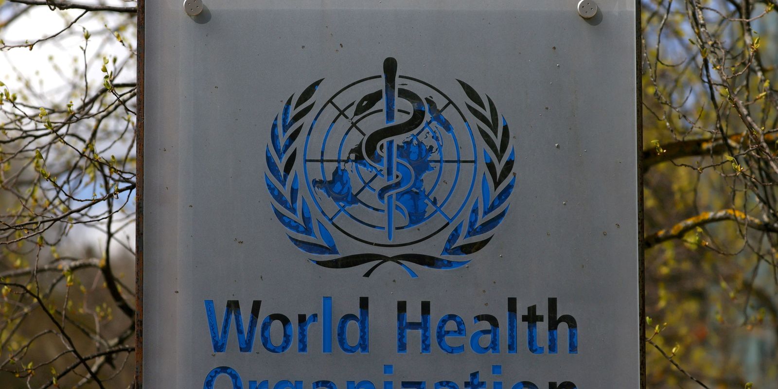 hantavirus:-oms-confirma-oito-casos-de-cepa-que-causou-surto-em-navio