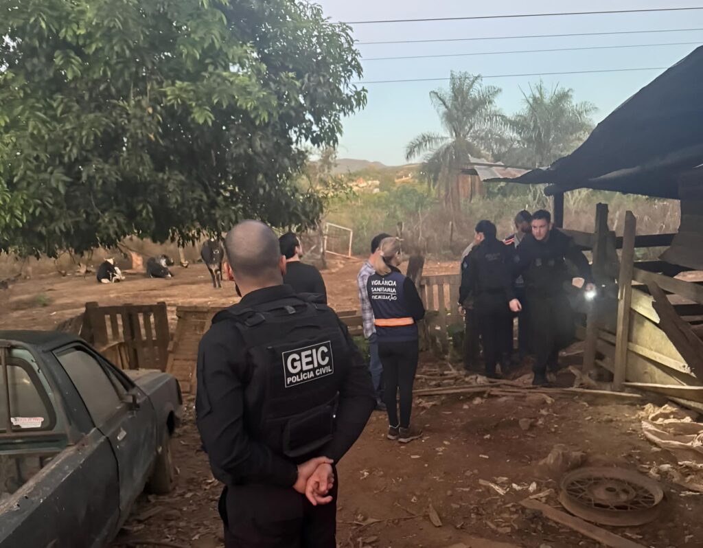 operacao-flagra-abate-clandestino-de-animais-em-caldas-novas