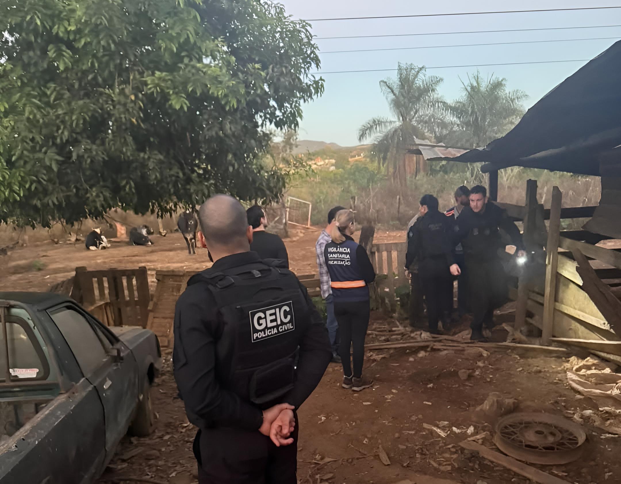 operacao-flagra-abate-clandestino-de-animais-em-caldas-novas