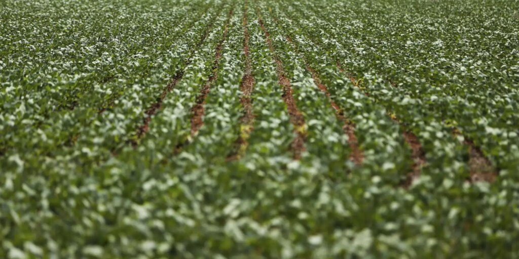 entenda-impasse-entre-bancada-do-agro-e-governo-sobre-dividas-rurais