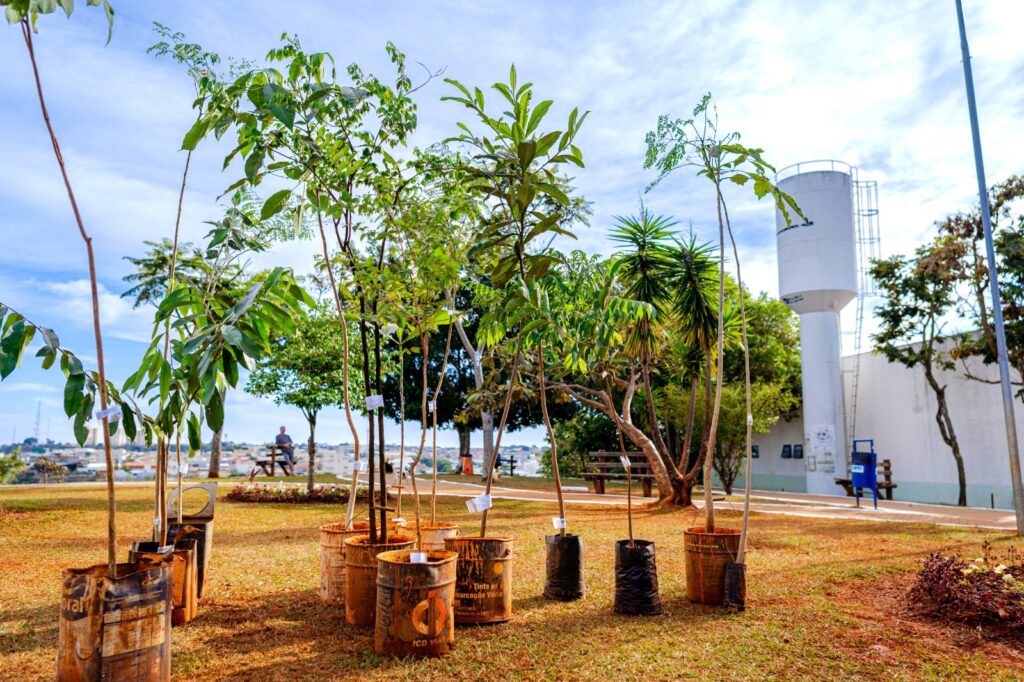 nova-etapa-do-anapolis-mais-verde-inicia-com-plantio-de-500-arvores