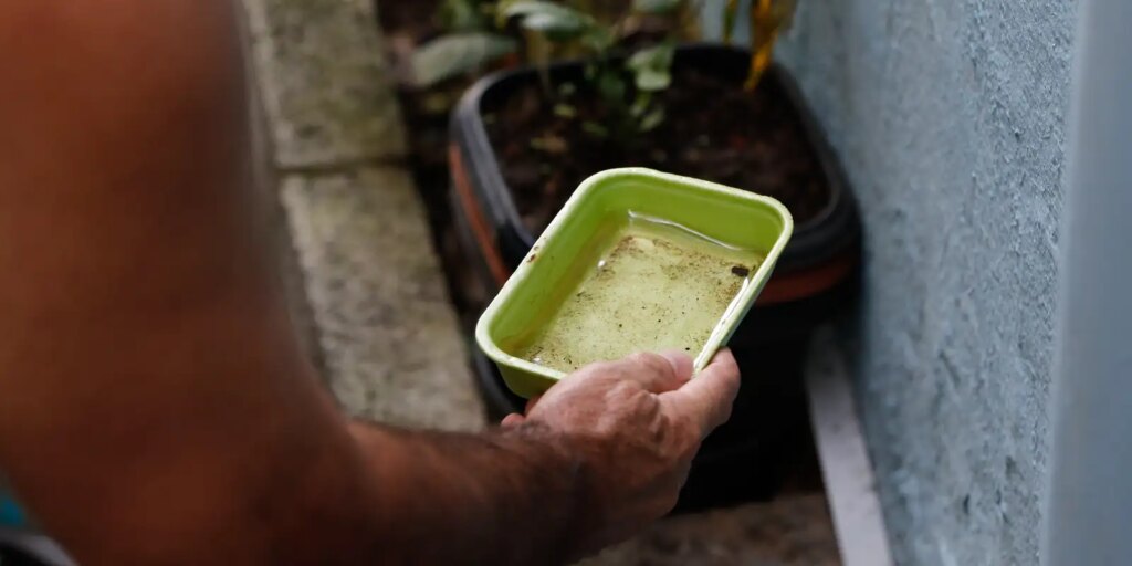 el-nino-pode-aumentar-casos-de-chikungunya-e-dengue-no-brasil