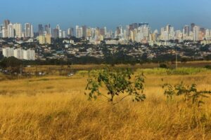 goias-tera-calor-de-ate-40°c-e-‘clima-de-deserto’-nos-proximos-dias