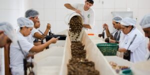 consulta-sobre-bens-sustentaveis-no-acordo-mercosul–ue-acaba-na-quarta