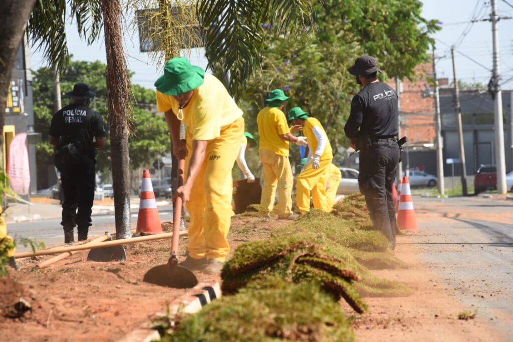 prefeitura-de-aparecida-amplia-paisagismo-com-mao-de-obra-de-reeducandos