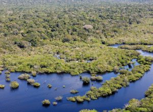 projeto-documenta-os-ritmos-musicais-da-amazonia