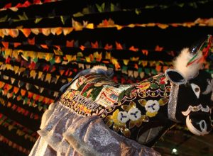 matraca-e-pandeirao-iniciam-festejos-juninos-em-sao-luis-do-maranhao