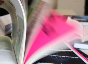 salao-do-livro-do-piaui-comeca-nesta-sexta-feira-(6)-em-teresina