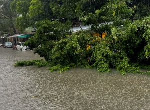 defesa-civil-alerta-e-lancado-no-nordeste-para-notificar-riscos