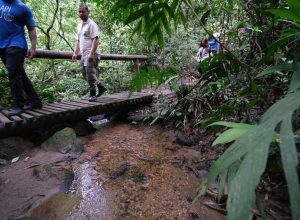 confira-os-principais-cuidados-a-serem-tomados-ao-fazer-trilhas