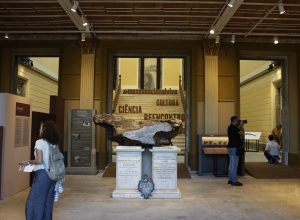 museu-nacional-do-rio-reabre-parcialmente-sete-anos-apos-incendio