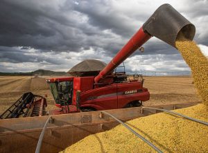 producao-de-graos-deve-crescer-14%-e-chegar-a-340-milhoes-de-toneladas