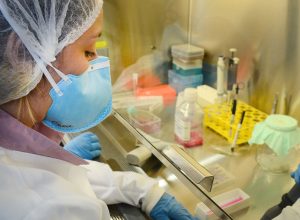 usp:-pesquisa-de-vacina-contra-zika-avanca-em-testes-com-camundongos