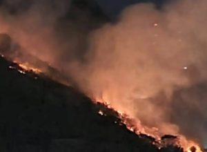 lula-lamenta-morte-de-servidores-do-ibge-em-combate-a-incendio