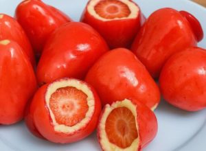 conselho-federal-de-odontologia-alerta-sobre-riscos-do-morango-do-amor