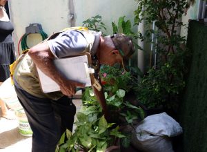 dengue:-maior-preocupacao-do-governo-e-com-a-regiao-sudeste