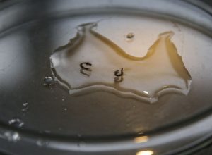 campanha-de-mobilizacao-contra-dengue-nas-escolas-comeca-nesta-segunda