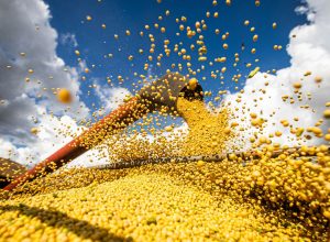 valor-da-producao-agricola-brasileira-recua-3,9%-em-2024,-mostra-ibge