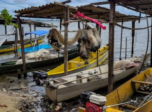 inicio-do-defeso-da-piracema-restringe-pesca-comercial-no-pais