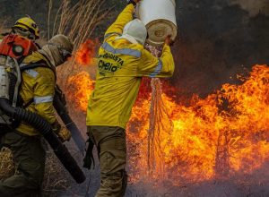 brigadas-controlam-dois-dos-tres-incendios-na-chapada-dos-veadeiros