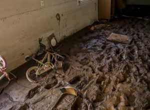 comeca-o-pagamento-do-premio-de-retomada-cultural-do-rs