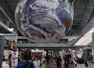 viva-maria-destaca-papel-do-ipe-na-cop-da-biodiversidade