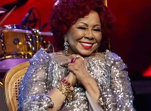 exposicao-celebra-mais-de-50-anos-de-carreira-da-cantora-alcione