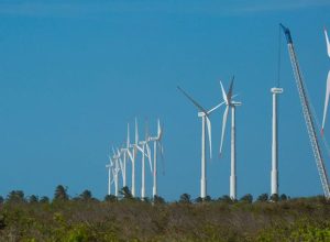 nordeste-lanca-plano-conjunto-de-transformacao-ecologica