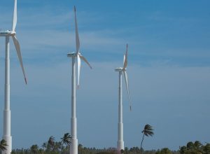 transicao-energetica-pauta-os-debates-do-quinto-dia-da-cop30