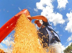 agropecuaria-ajudou-oito-estados-a-crescerem-mais-que-o-brasil-em-2023