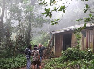 na-amazonia,-quilombos-preservam-92%-de-sua-vegetacao-nativa