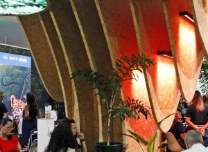 cop30-discute-meios-de-aumentar-o-numero-de-arvores-nas-cidades