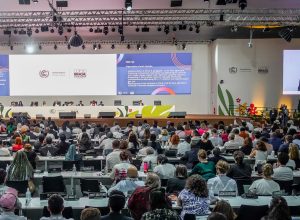 acordo-da-cop30-triplica-financiamento,-mas-nao-inclui-mapa-do-caminho