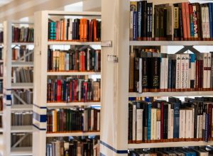 fliparaiba:-festival-ocorre-ate-o-fim-de-semana-em-joao-pesssoa